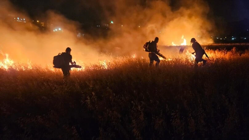 טרור ההצתות ביו"ש שמחסל את שטחי המרעה: "אין לעדר מה לאכול"