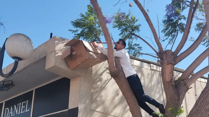 אריאל עידן נקלע למבצע הצלה לא צפוי - ונתקע על עץ | צפו