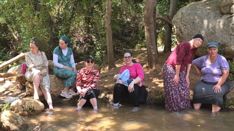 צילום: ללא