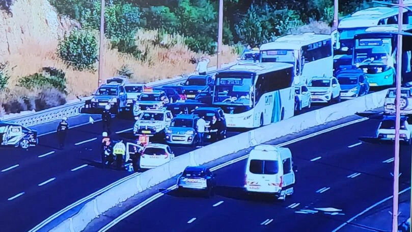 צילום: משטרת ישראל