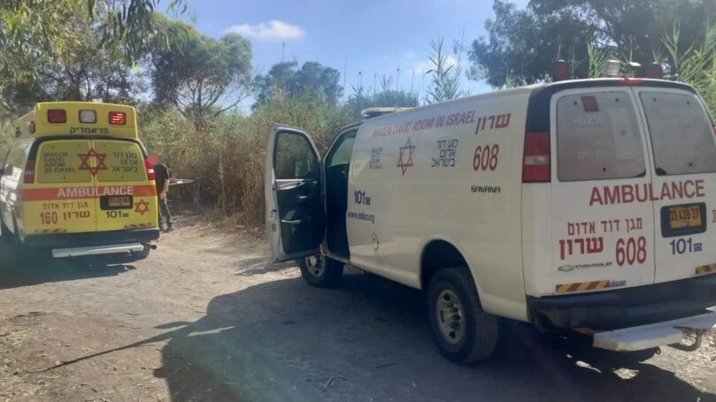צילום: דוברות מד"א