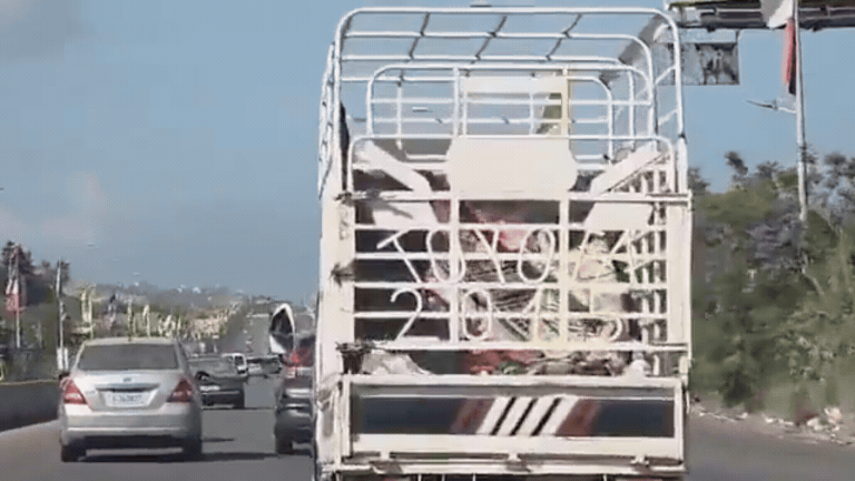 לאחר ההכרזה: אלפי שיעים חוזרים לכפרים בדרום לבנון | תיעוד