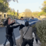 תיעוד ויראלי: הדוב נפל מגובה רב – ופגע בשוטר | צפו