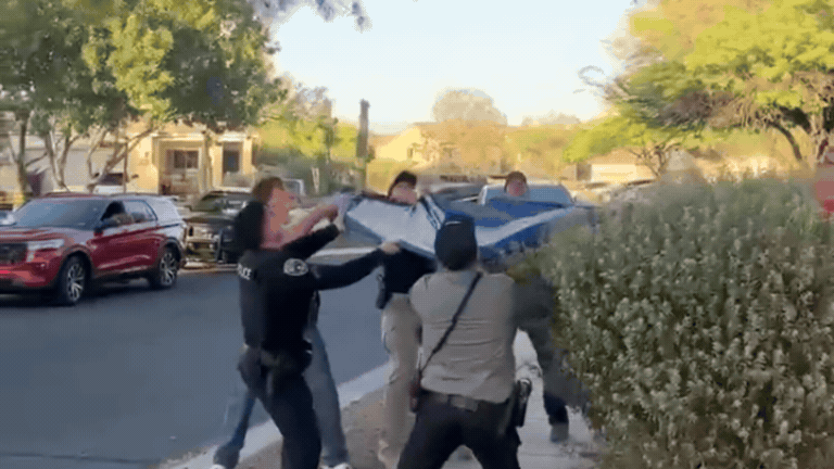 תיעוד ויראלי: הדוב נפל מגובה רב - ופגע בשוטר | צפו