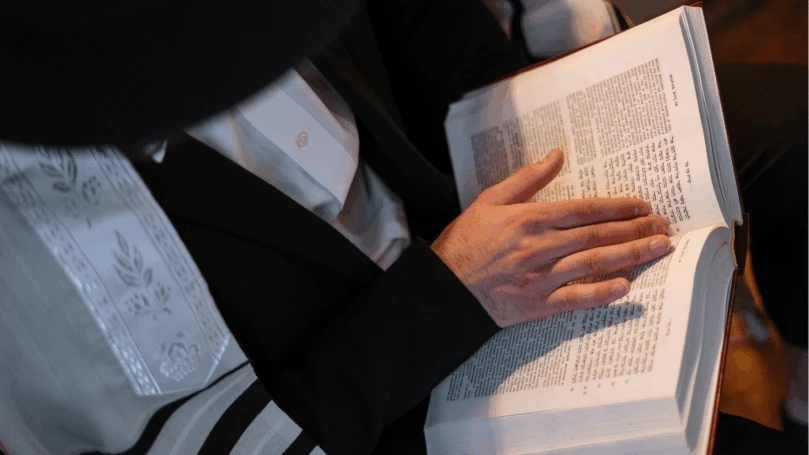 צילום: קנבה