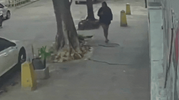 תיעוד ביזארי מברזיל: הלכה לתומה ברחוב - וצנחה לבור ביוב