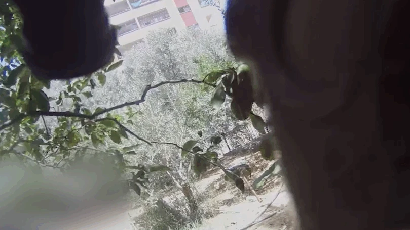 שנתיים למבצע "ארנון": התיעודים המצמררים מלב עזה נחשפים