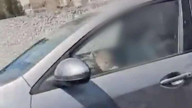 השוטרים היו בהלם: תינוק בן 8 חודשים ישב בתא הנהג