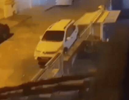 צילום: רשתות חברתיות