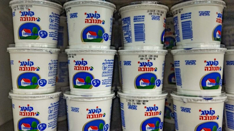 קוטג' צילום: פלאש 90