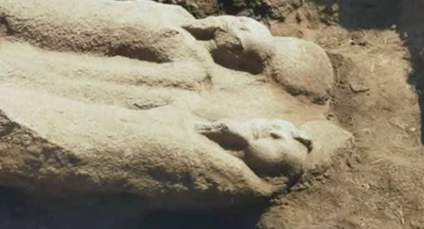 צילום מסך, רשתות חברתיות