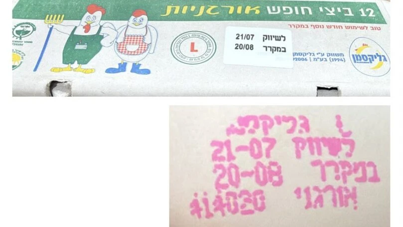 ריקול מיידי למותג הביצים שנמצא בכל בית: "תרנגולות רבות מתו"