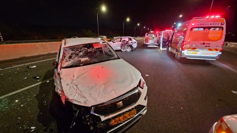 צילום: איחוד הצלה און ליין