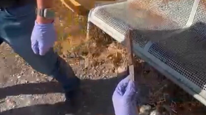 ניסה להוציא פיגוע קטלני, וכשנתפס טען: "רק חיפשתי מים לשתות"