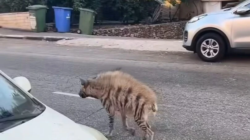 צילום מסך מהרשת החברתית