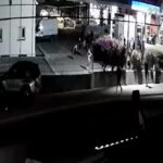 תיעוד מלרנקה: אוהדים מקומיים תקפו את אוהדי בית"ר