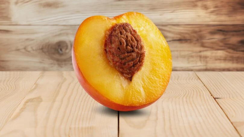 צילום: שאטרסטוק