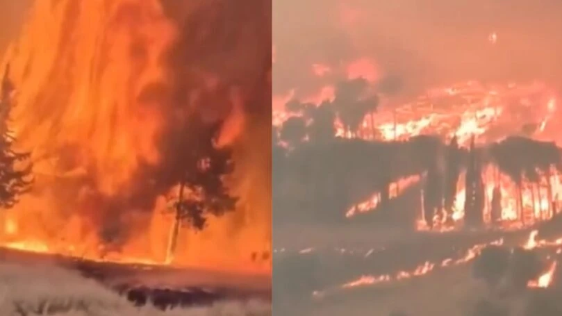 השריפות באירופה ממשיכות להשתולל: 250 אלף אנשים פונו מבתיהם