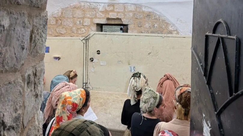 צילום: גבריאלה הוכברג