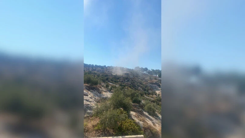 צילום: רשתות ערביות