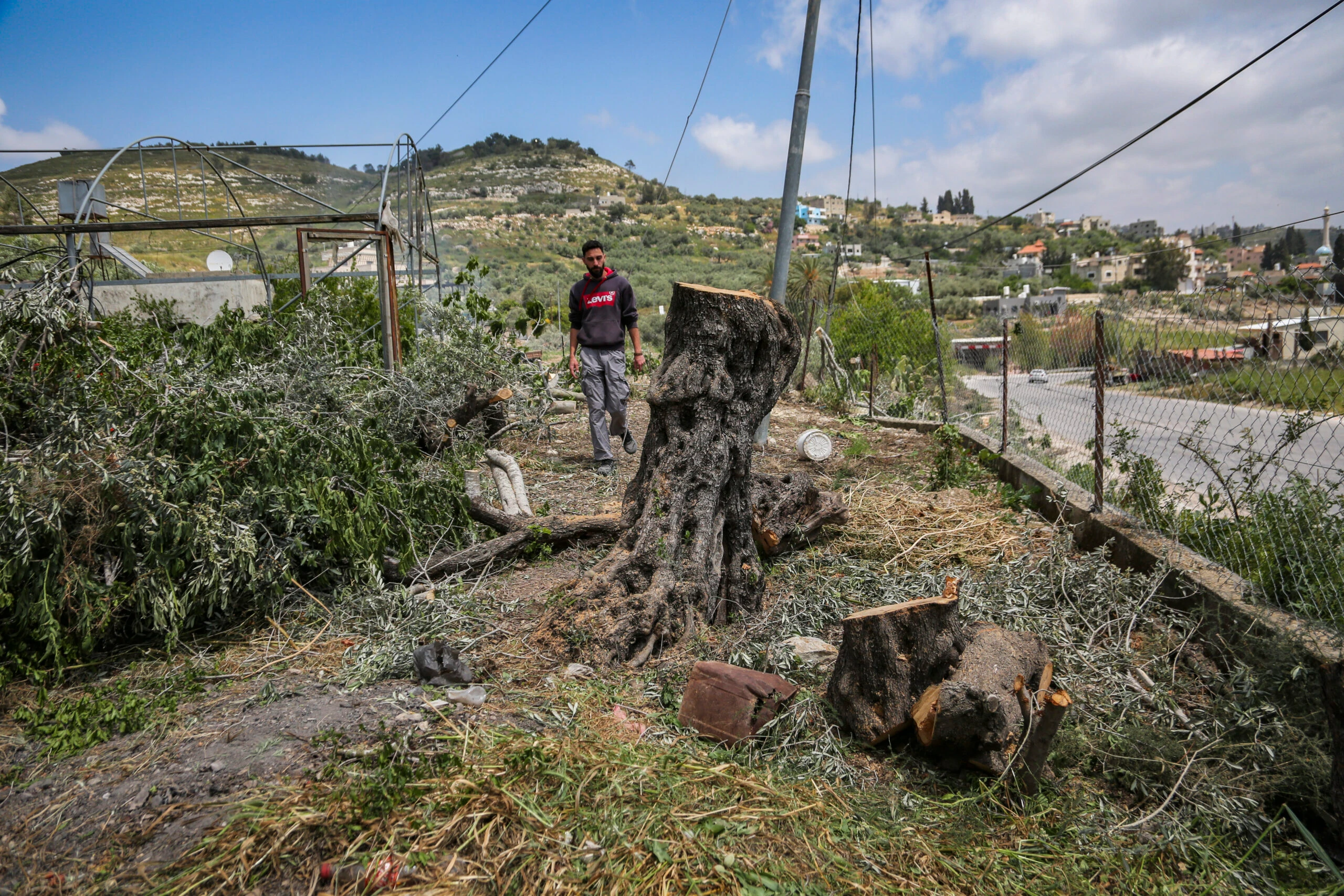 Judea and Samaria: Arab Harvest Barred on State Land