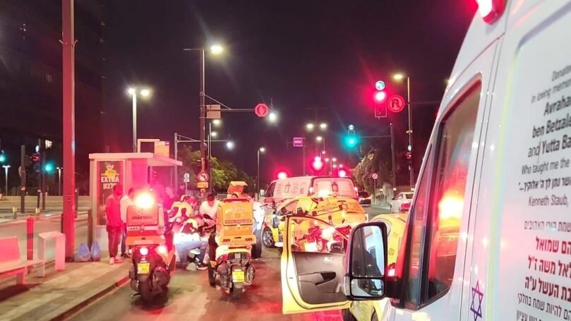 צילום: איחוד הצלה און ליין