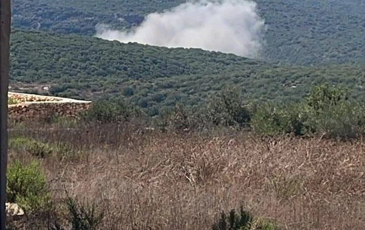 צילום: רשתות ערביות
