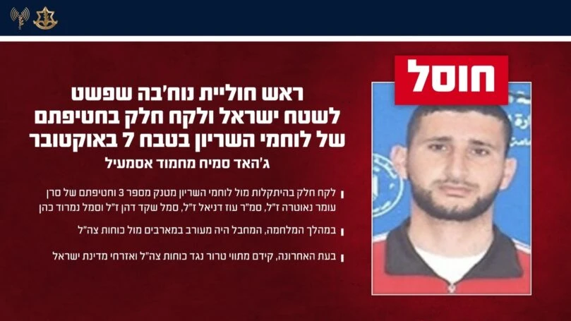 צילום: דו"צ