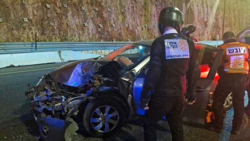 צילום: איחוד הצלה און ליין