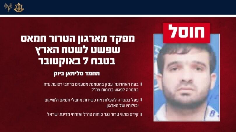 צילום: דובר צה"ל
