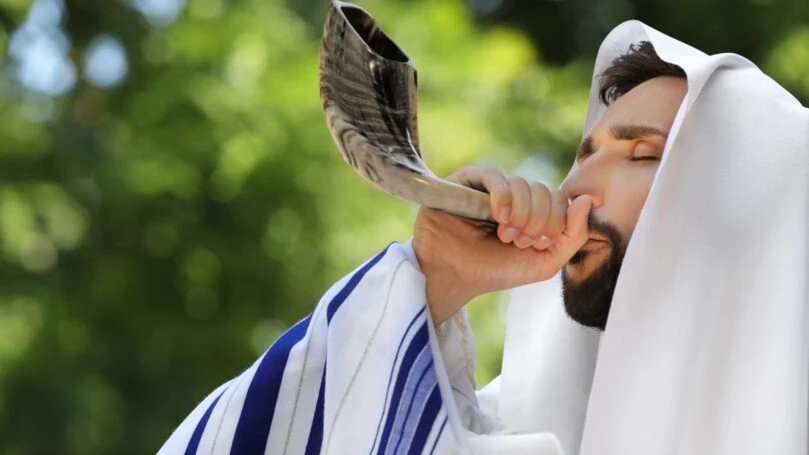 צילום: שאטרסטוק