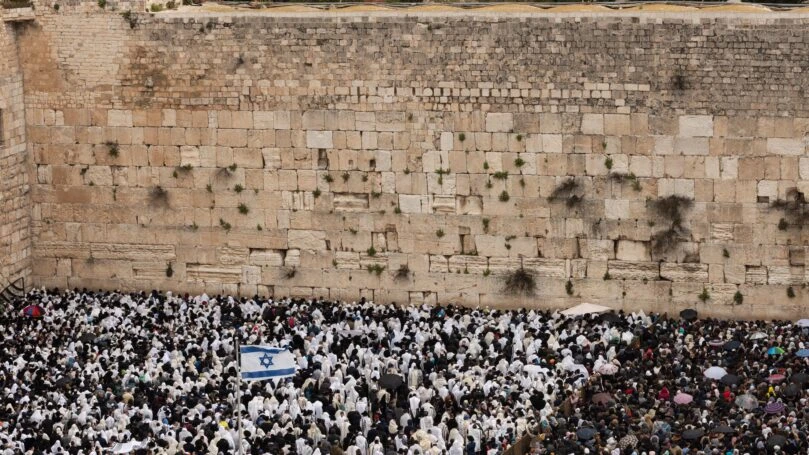 צילום: שאטרסטוק
