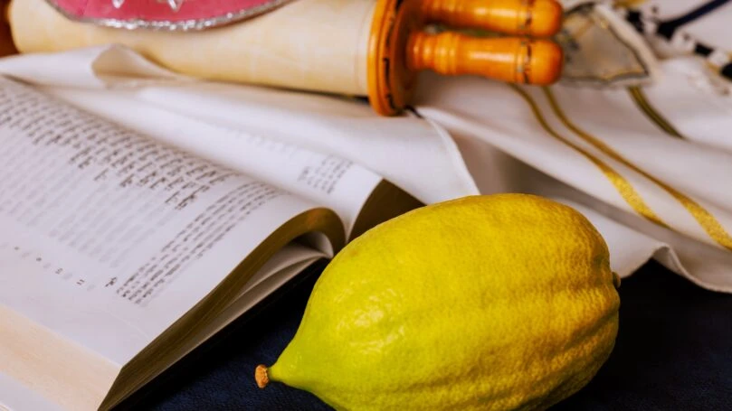 צילום: שאטרסטוק