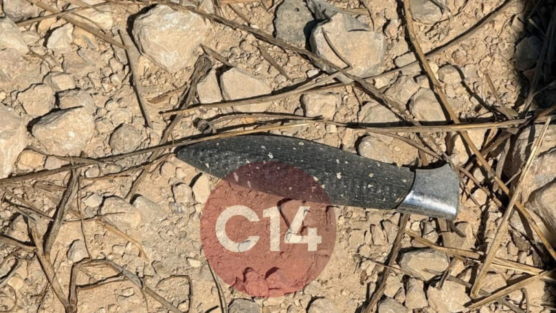 צילום: ערוץ 14