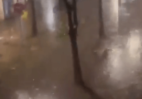צילום: רשתות חברתיות