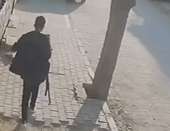 צילום: רשתות חברתיות
