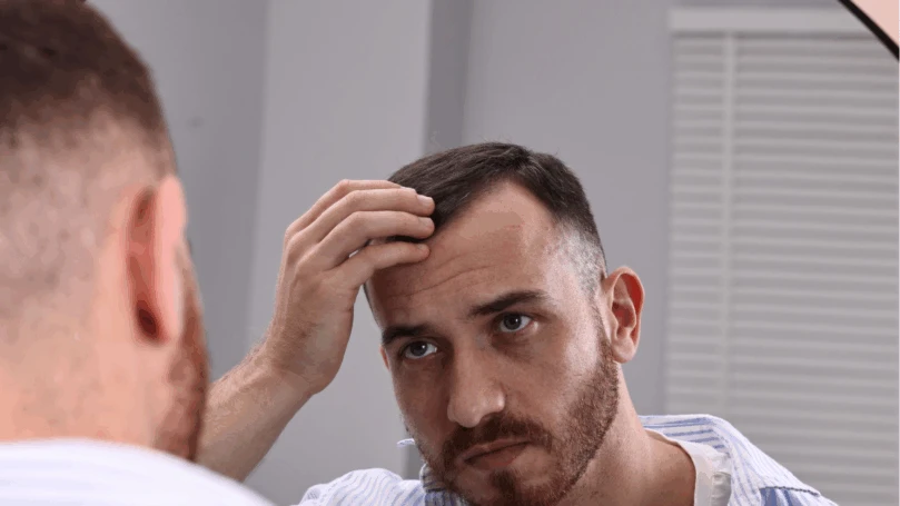 צילום: קנבה
