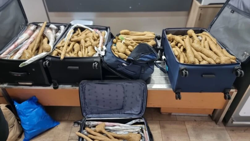 צילום: דוברות משרד החקלאות