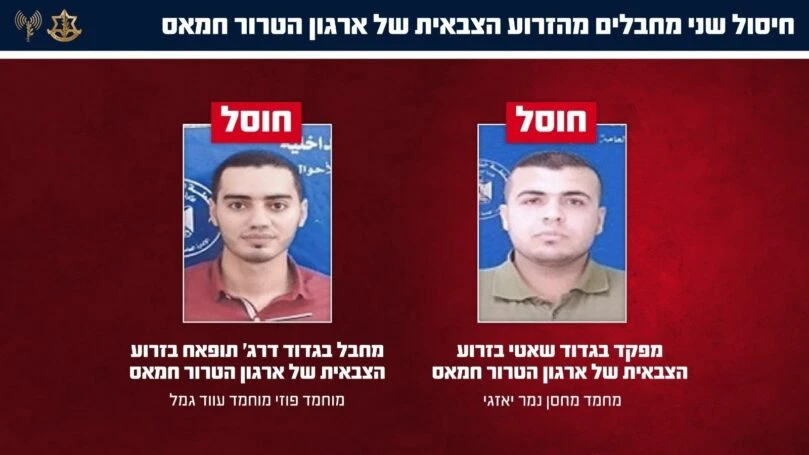 צילום: דו"צ