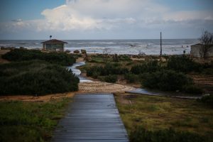 יו"ר ההתאחדות עופר עיני. צילום: יונתן זינדל/פלאש90