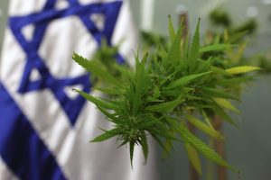 כוחותינו בחברון. צילום: דוברות המשטרה
