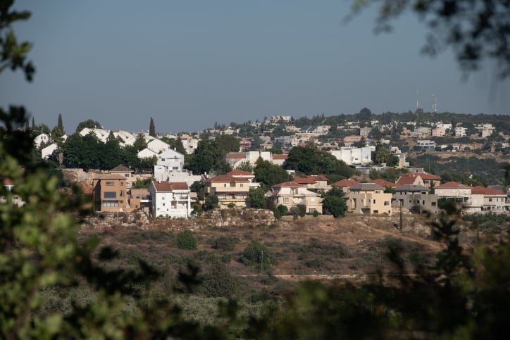 שקדים פלסטיני בחסות פעילים בינלאומיים ורבנים למען זכויות אדם