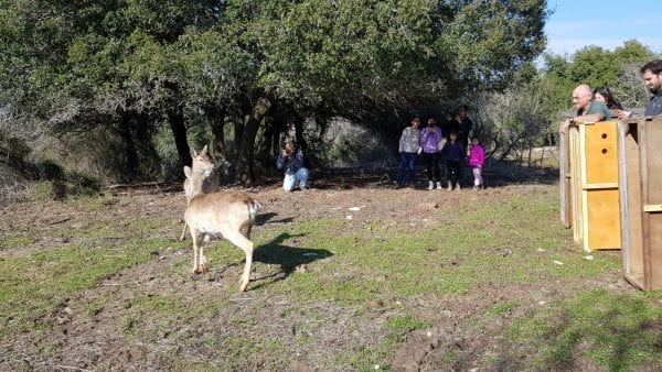 תמונת כתבה