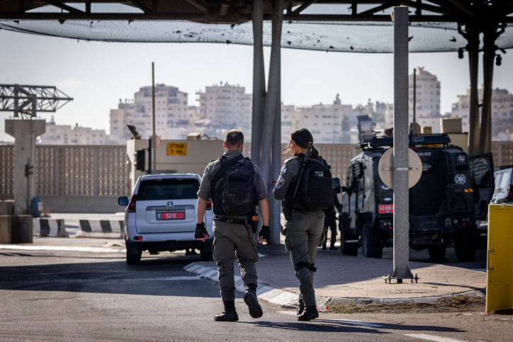 דוב בפארק, אילוסטרציה. צילום: שאטרסטוק