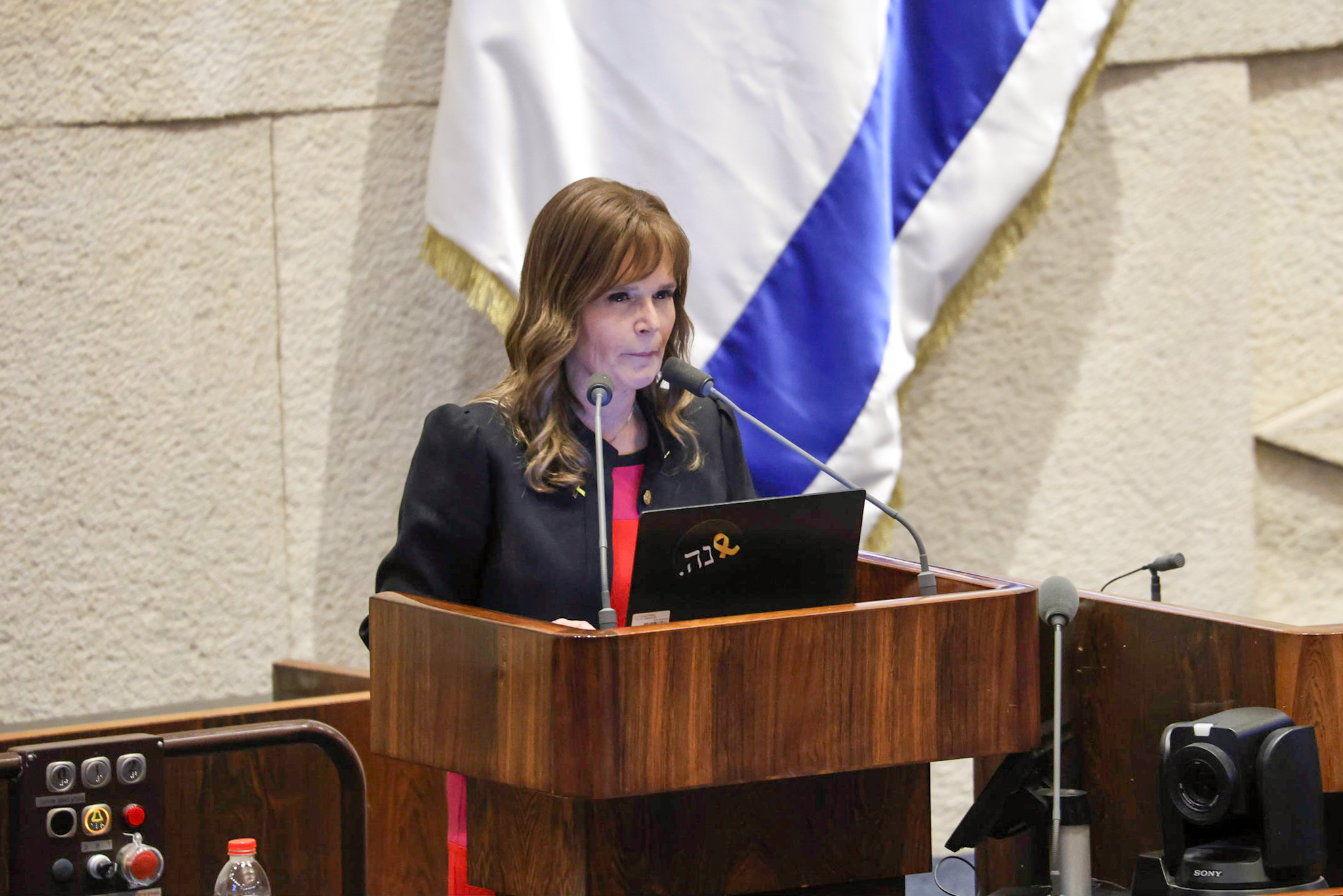 מיכל וולדיגר | צילום: נועם מושקוביץ / דני שם טוב, דוברות הכנסת
