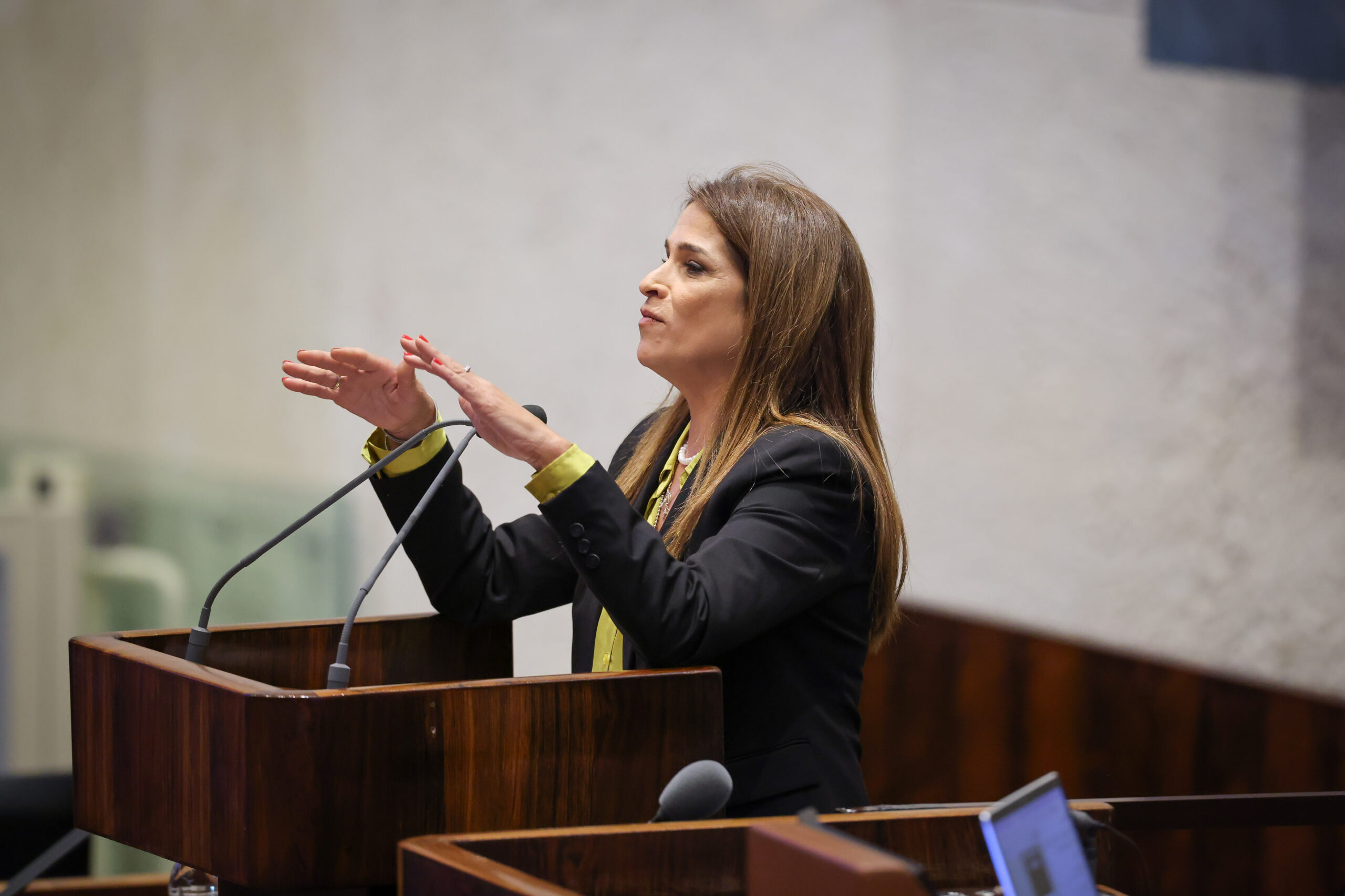 מירב בן ארי | צילום: נועם מושקוביץ, דוברות הכנסת