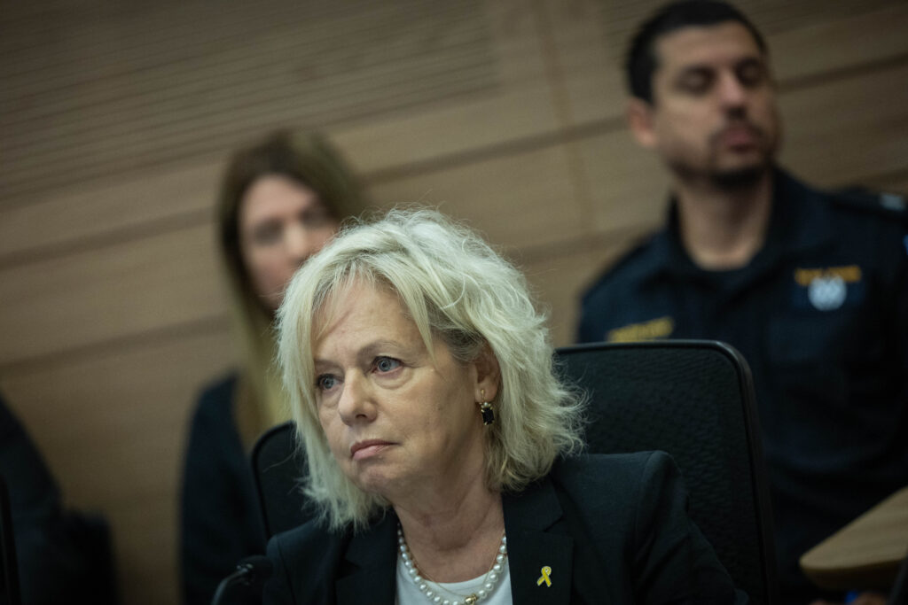היועמ"שית בוועדת החוקה |