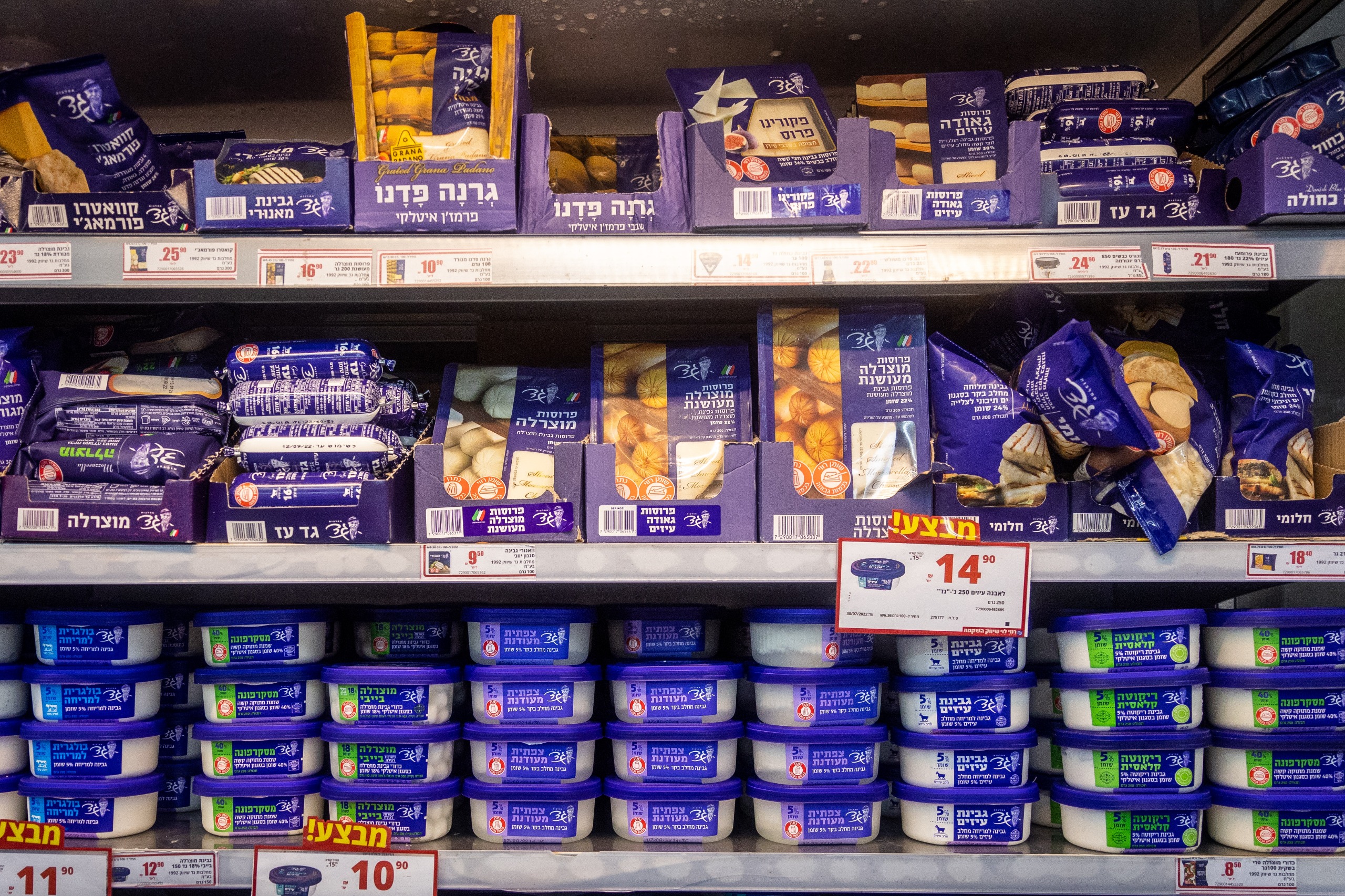 מחלבות גד צילום: יונתן זינדל, פלאש 90