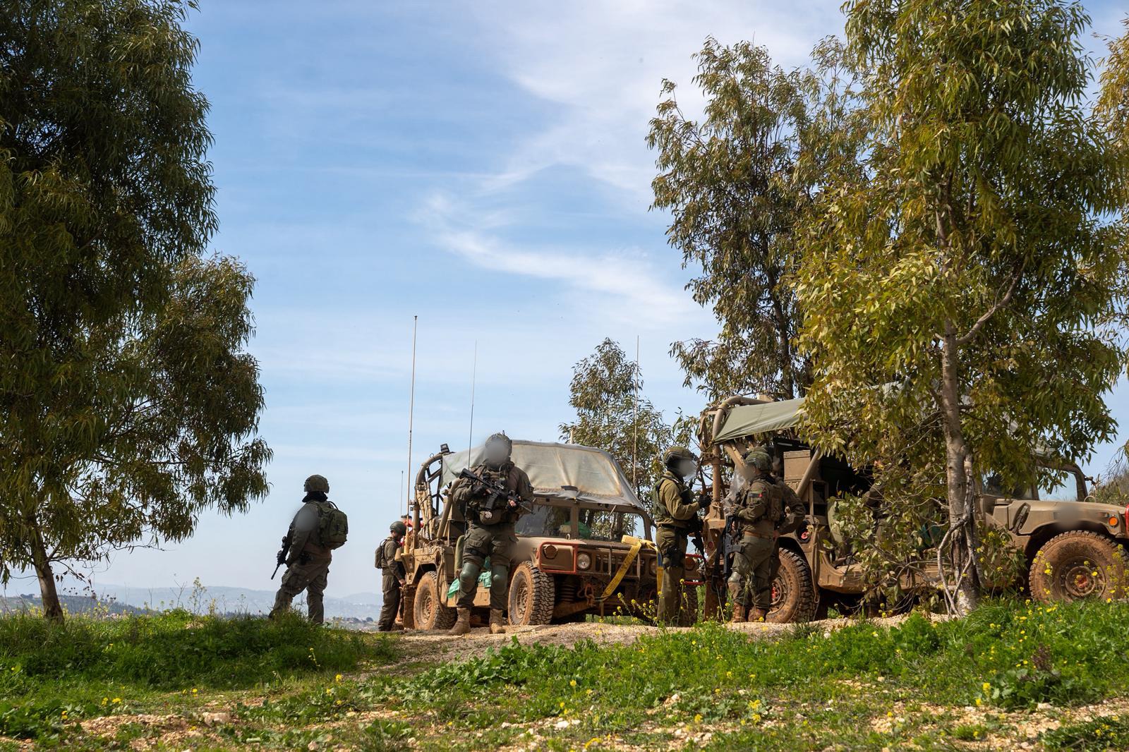 פעילות כוחות צה"ל בלנון, מבצע שאגת הארי