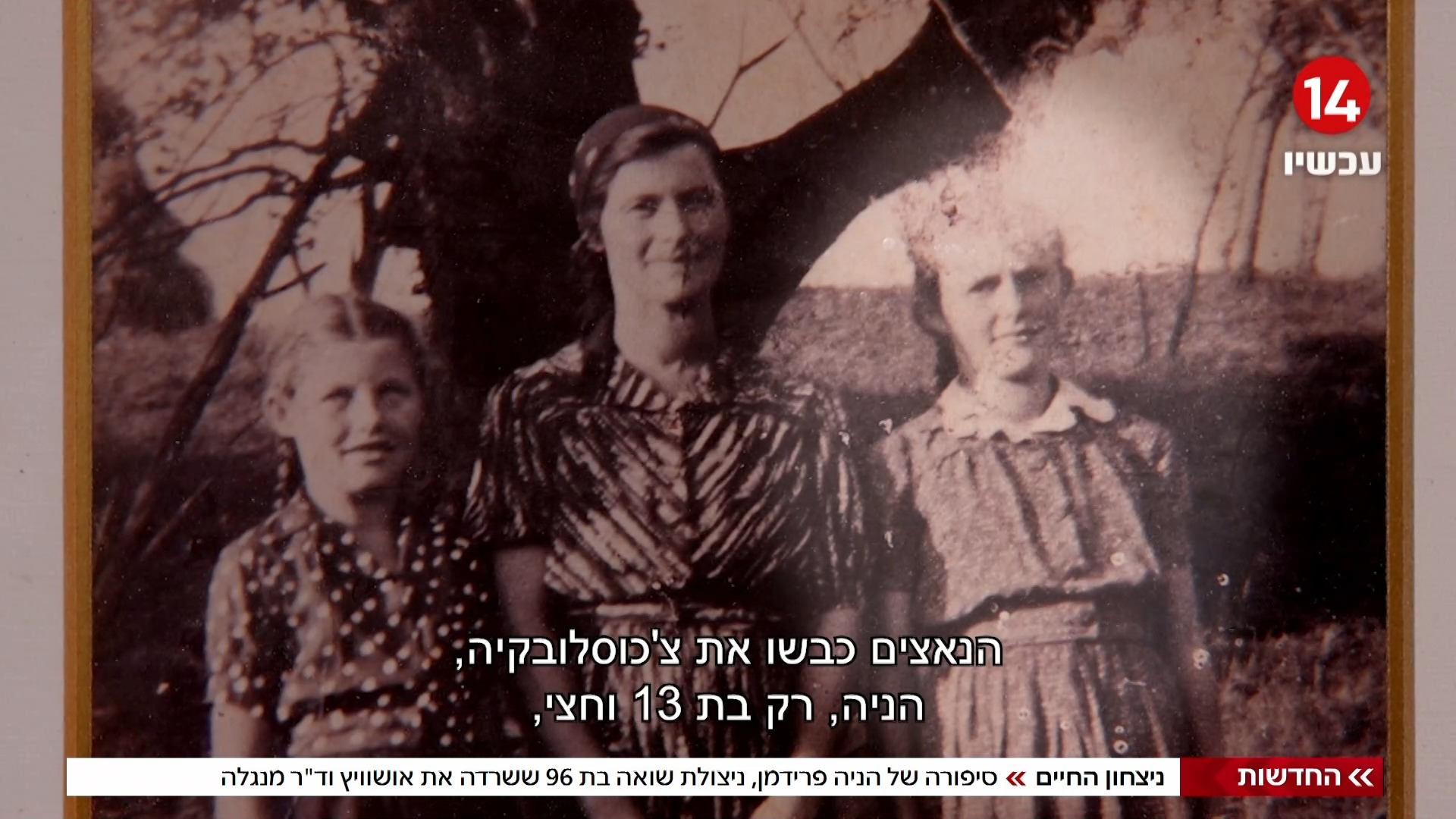 תמונת כתבה